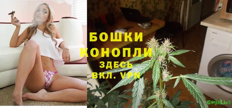 где купить   Бавлы  МАРИХУАНА Ganja 